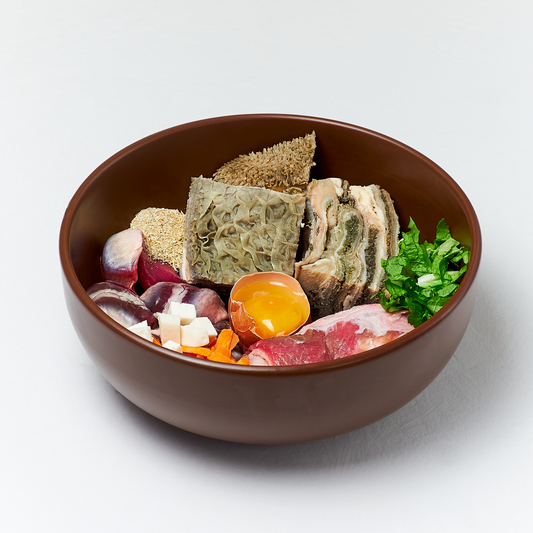 Should I Feed My Dog Raw Food?