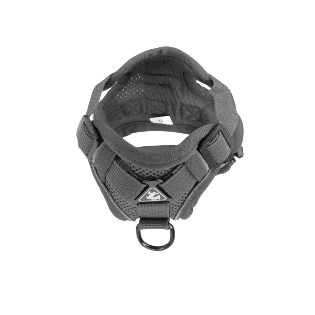 gray dog harness