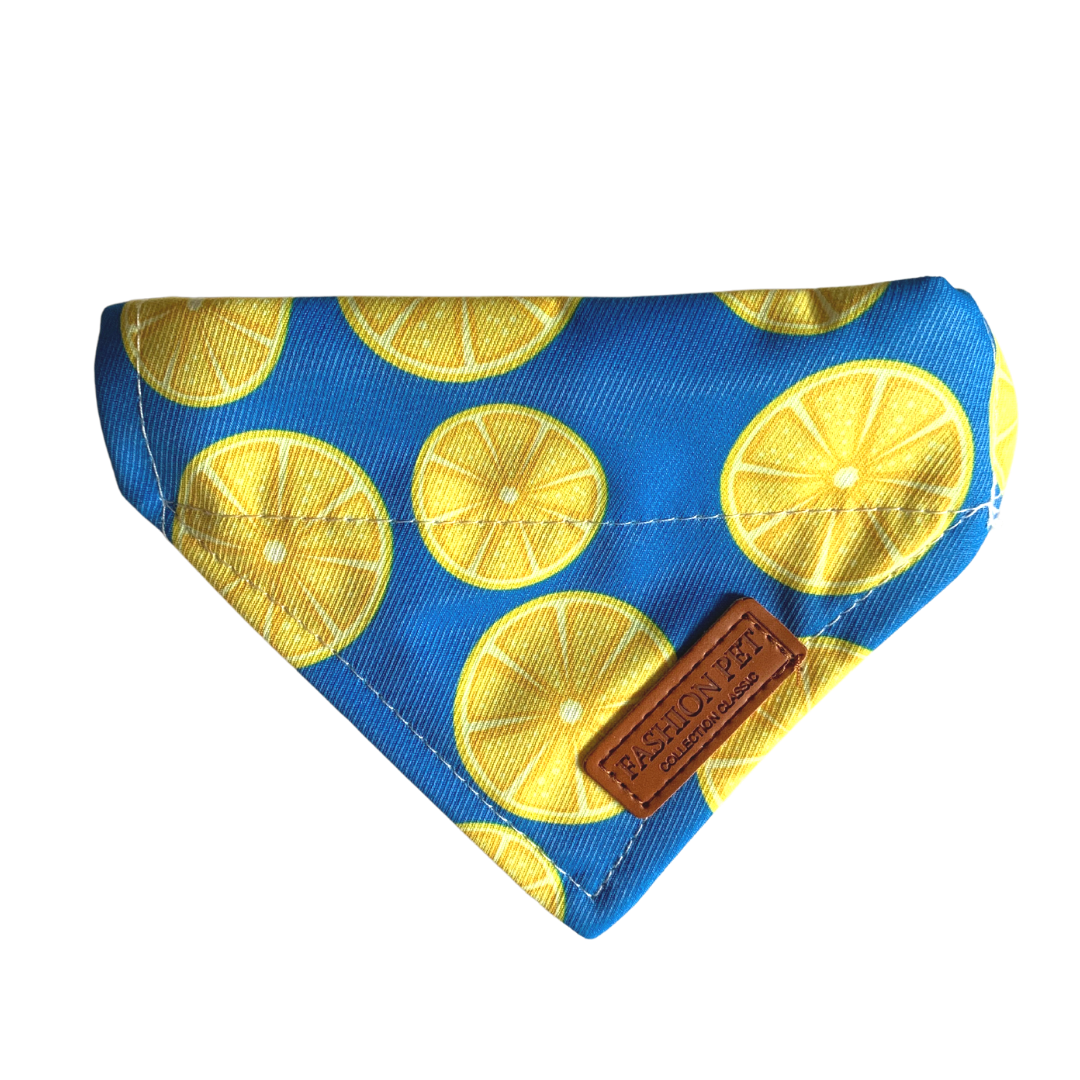 Pawsh Bandana Collar