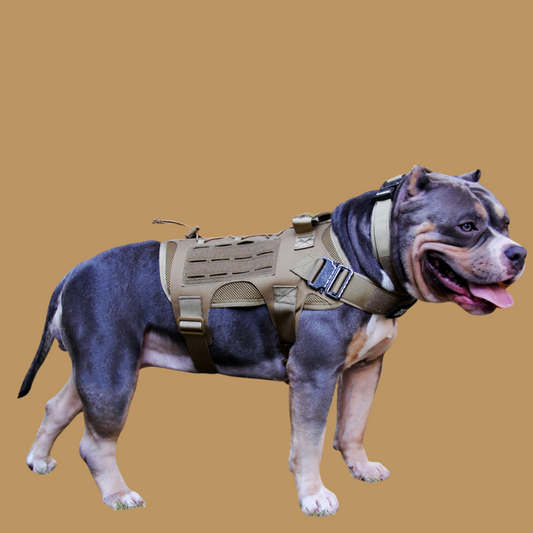 K9 Tactical Harness