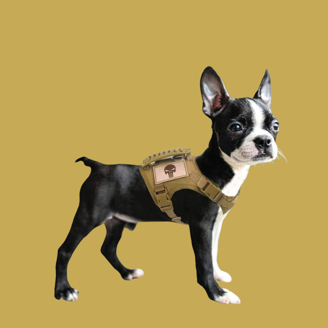 Pawsh Mini K9 Harness