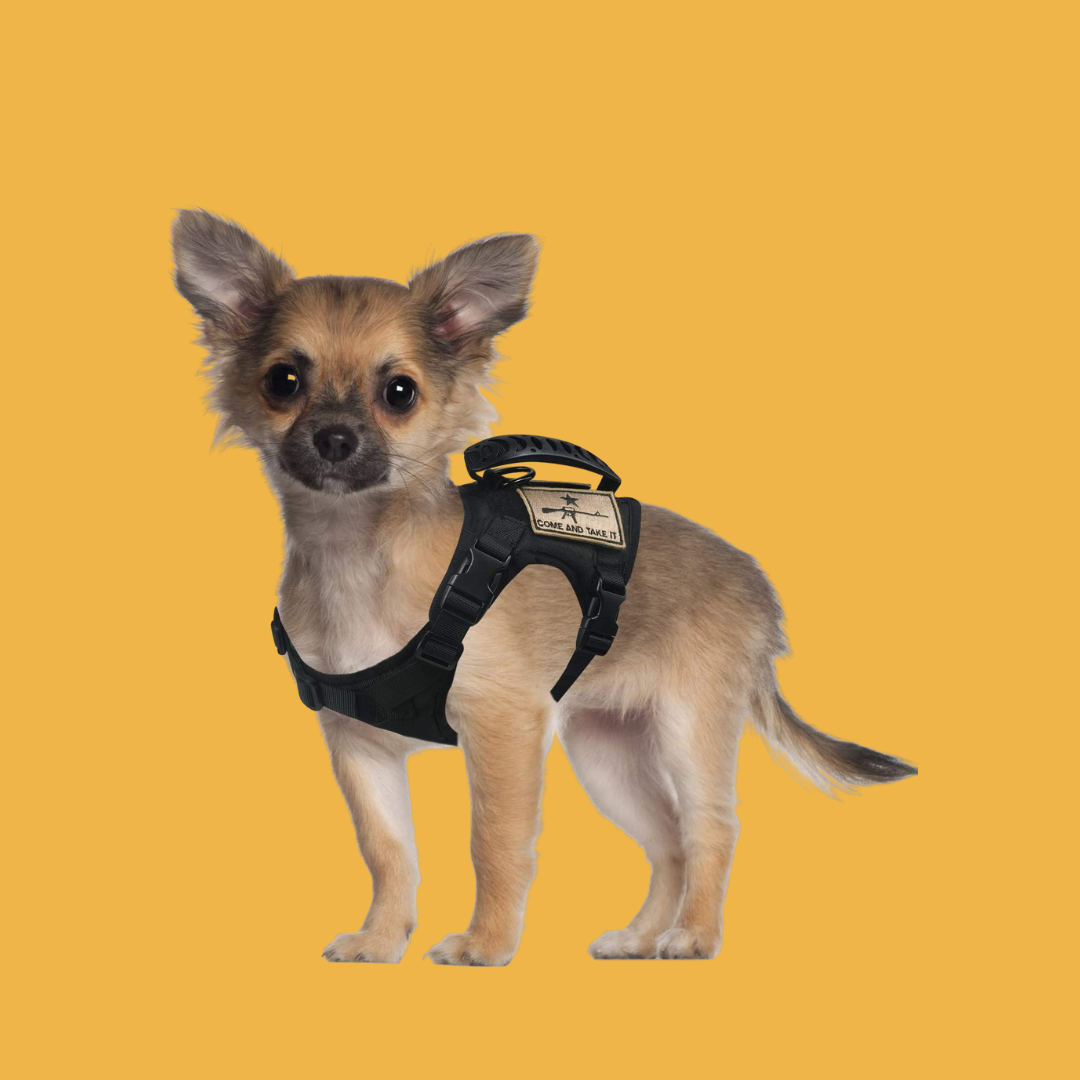 Pawsh Mini K9 Harness