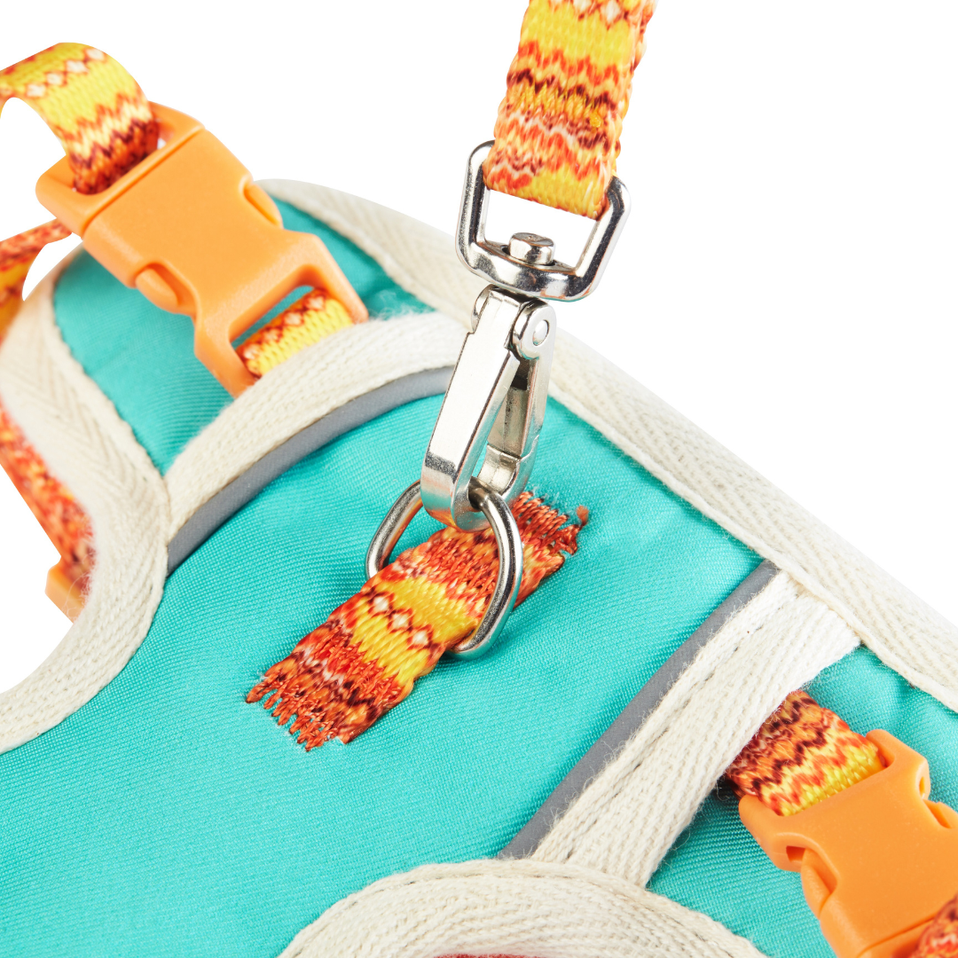California Pet Harness and Leash Set