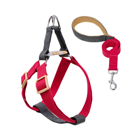 red dog harness philippines