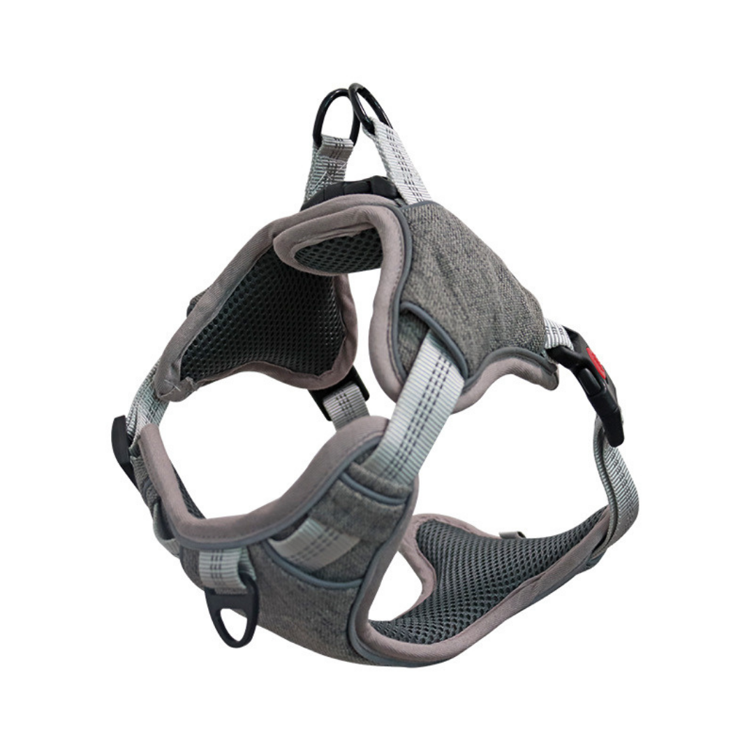 gray dog harness