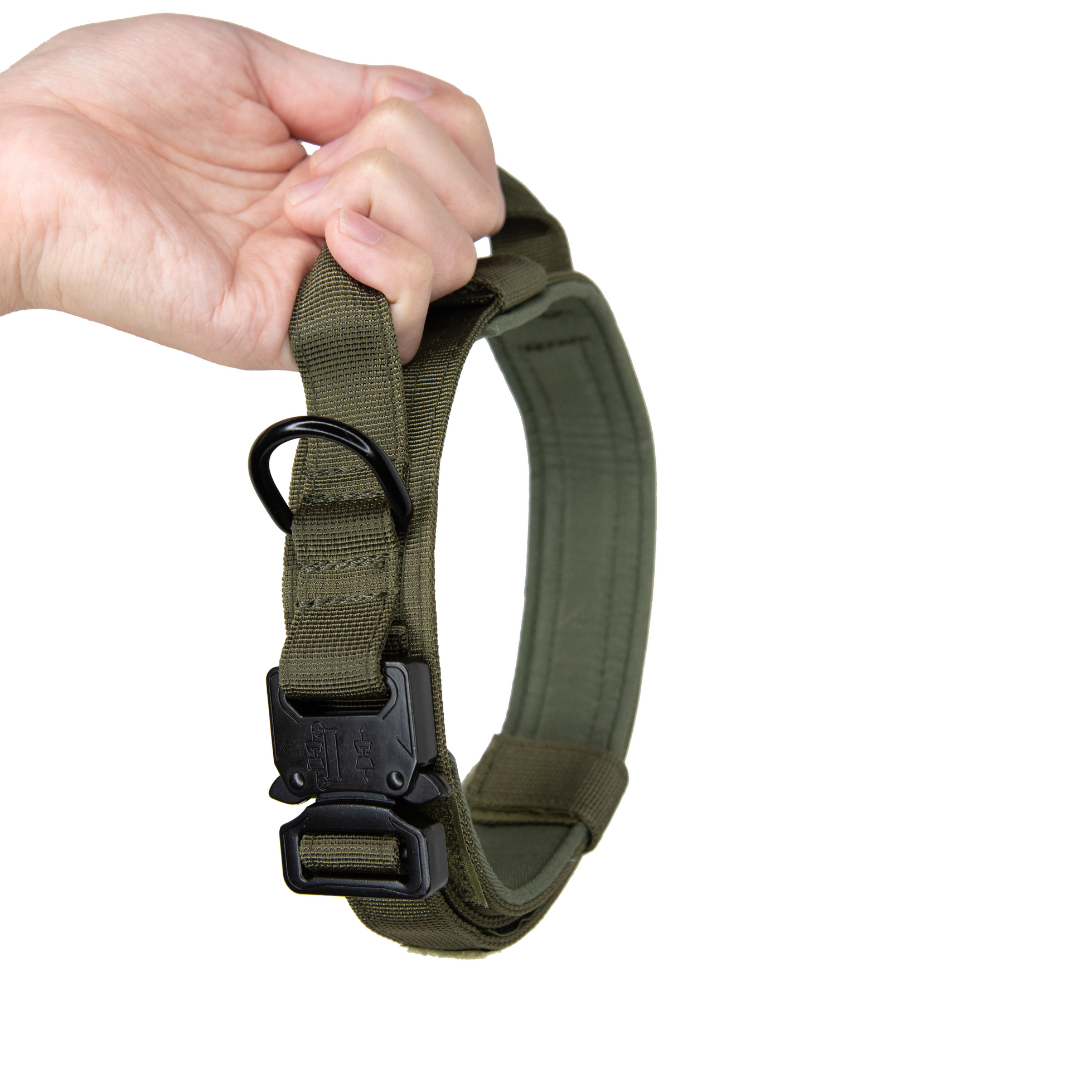 The Best Heavy Duty Dog Collar Guide For 2022 - Philippines