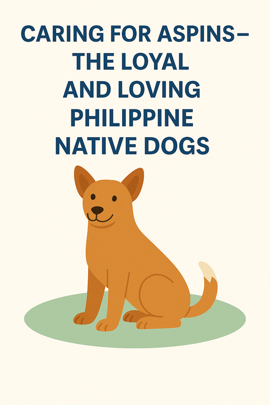 Caring for Aspins – The Loyal and Loving Philippine Native Dogs