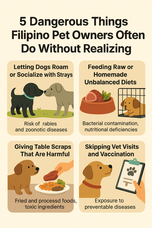 5 Dangerous Things Filipino Pet Owners Often Do Without Realizing