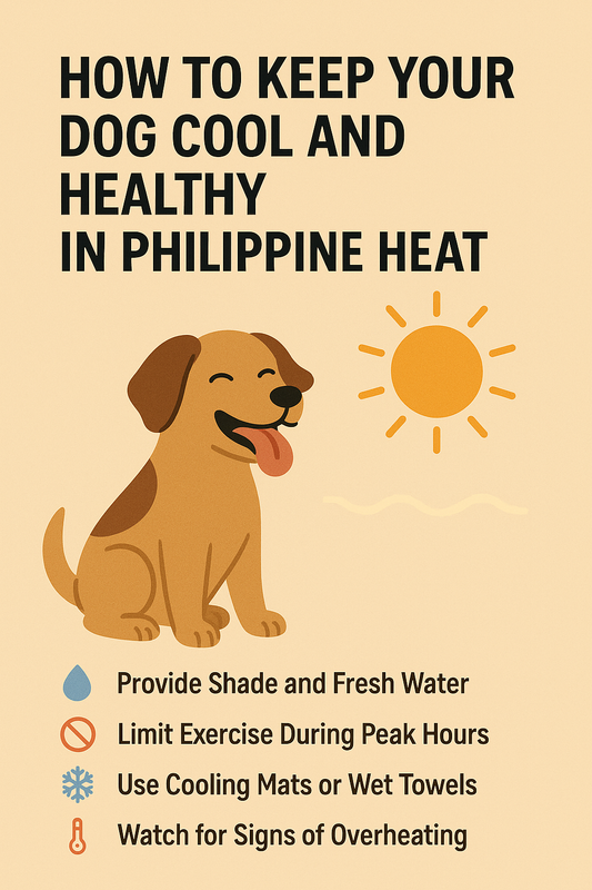 How to Keep Your Dog Cool and Healthy in Philippine Heat