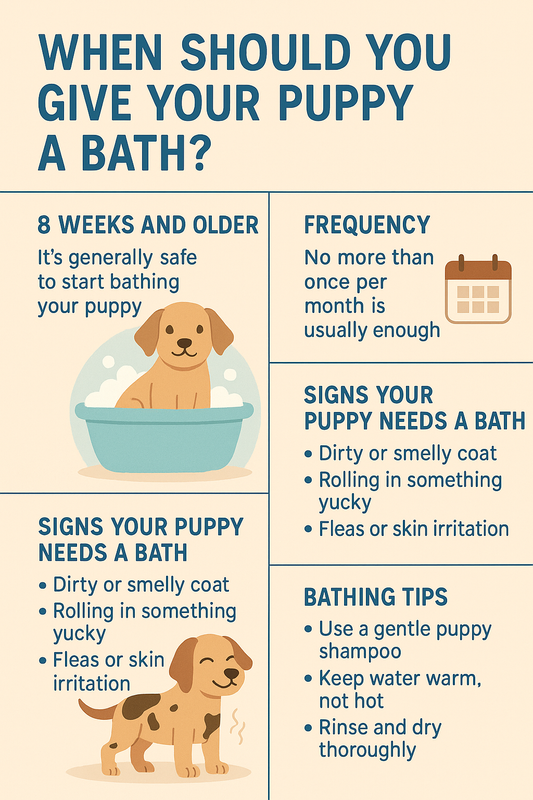 When Should You Give Your Puppy a Bath?