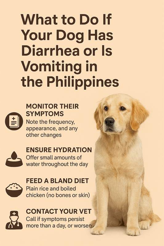 What to Do If Your Dog Has Diarrhea or Is Vomiting in the Philippines