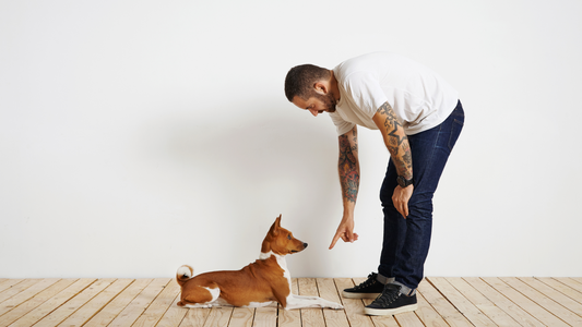 The Benefits of Dog Training and How to Find a Good Dog Trainer in the Philippines