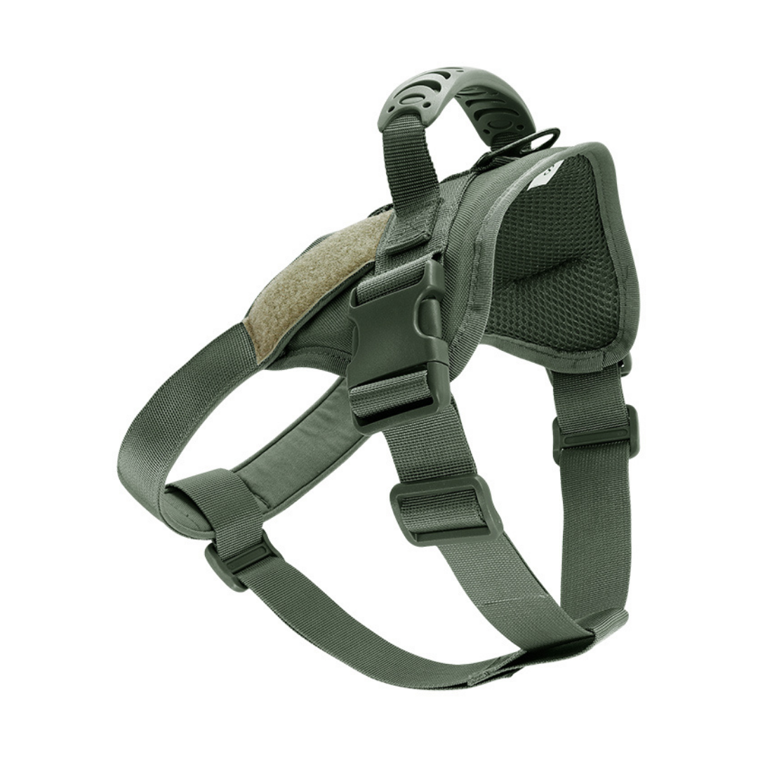 olive green dog harness