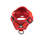 bright red dog harness
