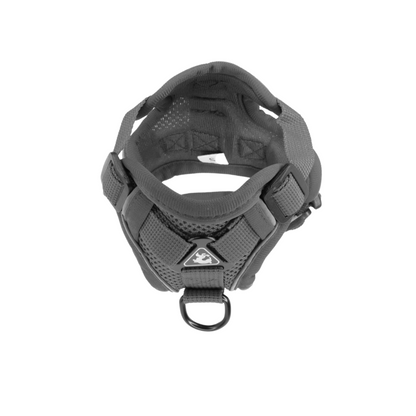 gray dog harness