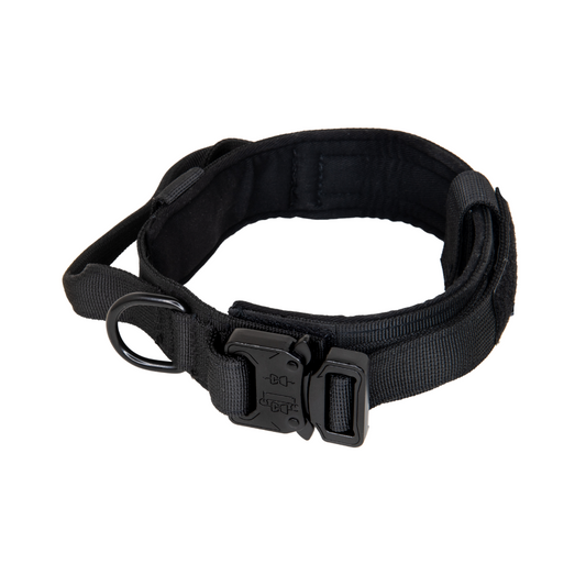 K9 Collar