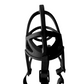 dog muzzle top view philippines