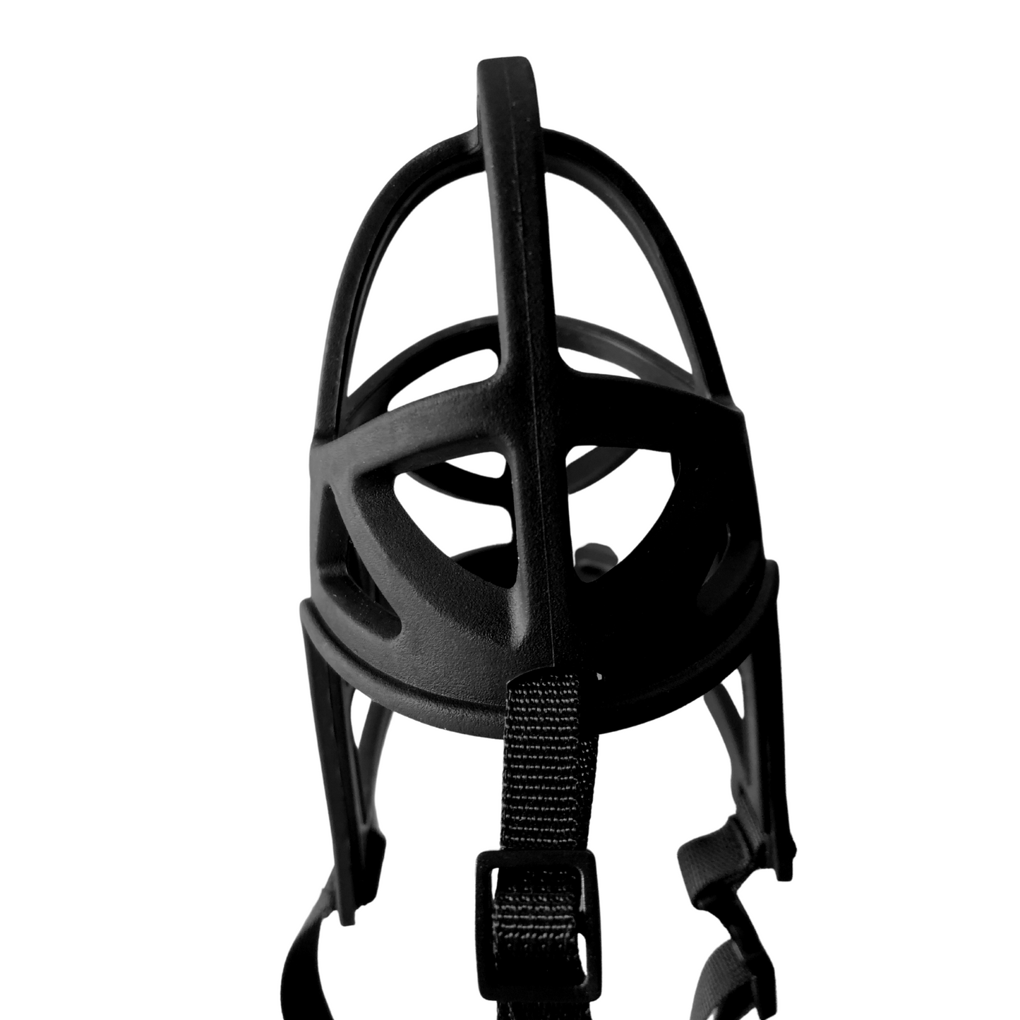 dog muzzle top view philippines