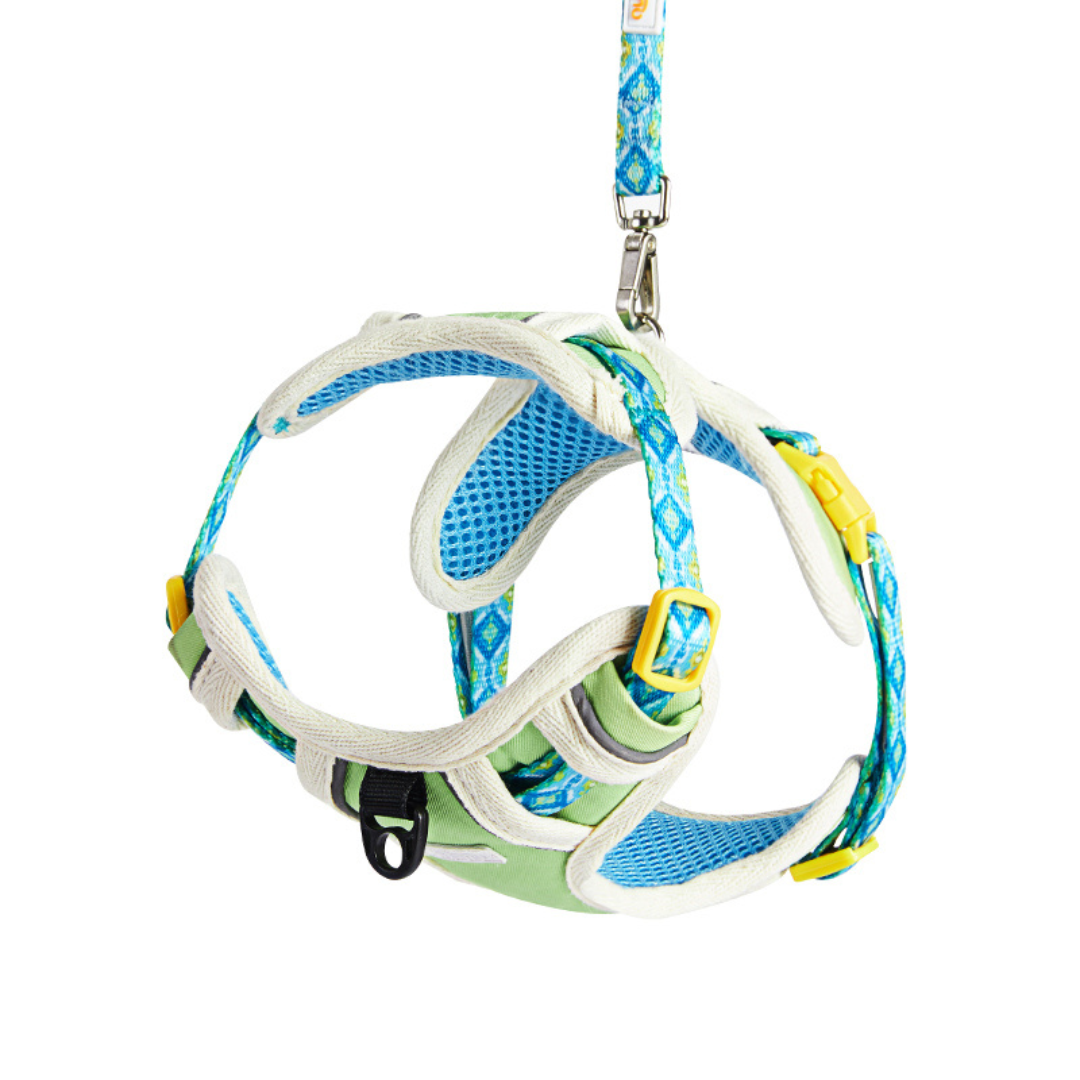 California Pet Harness and Leash Set