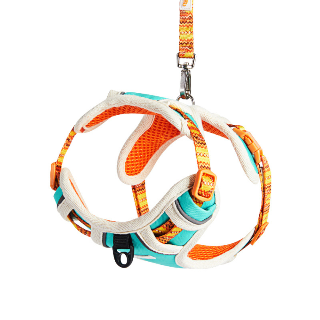California Pet Harness and Leash Set