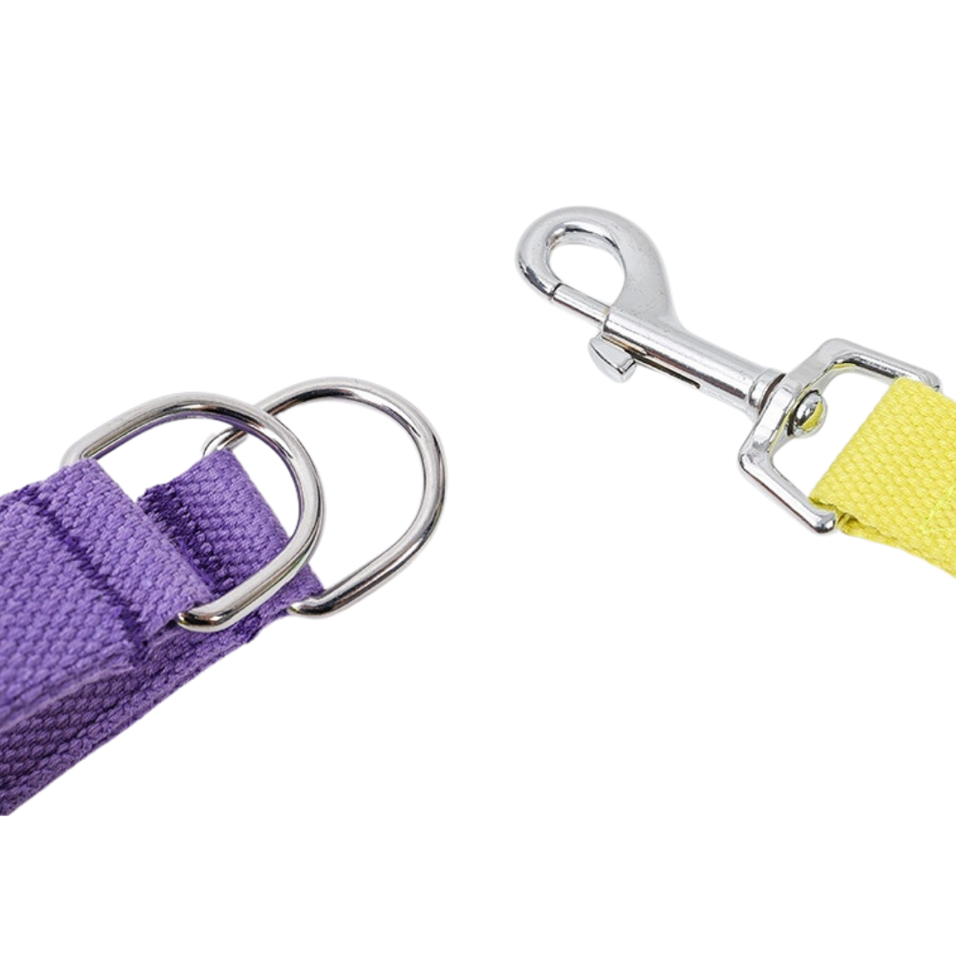 Candy Collection Harness and Leash Set