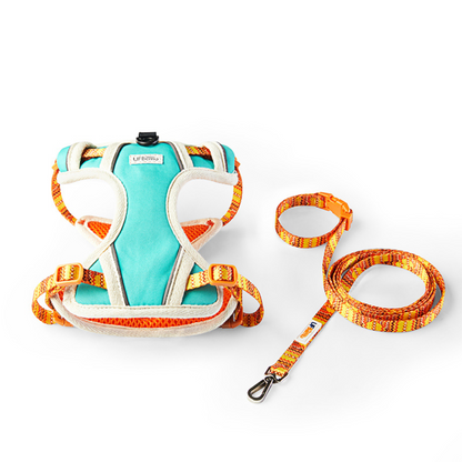 California Pet Harness and Leash Set