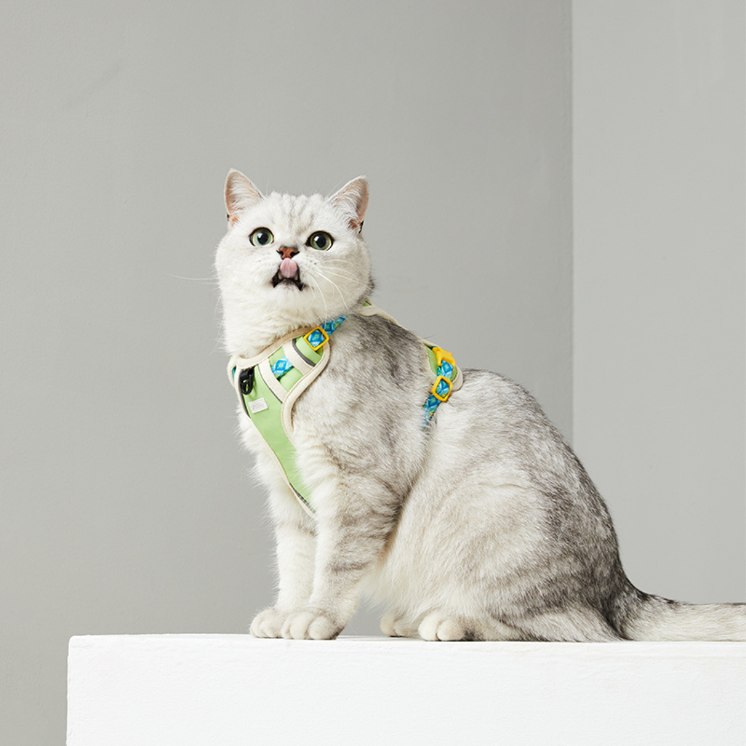 cat harness philippines