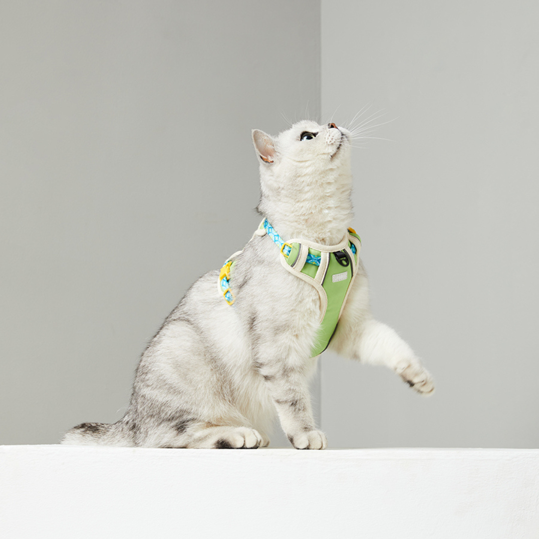 harness for cats philippines