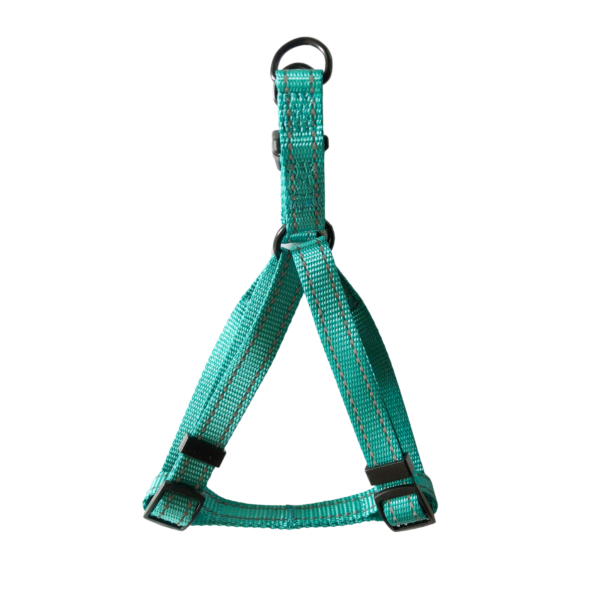 blue harness