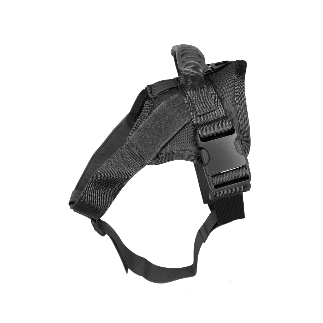 black dog harness philippines
