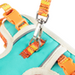 California Pet Harness and Leash Set
