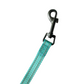 blue leash