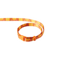 California Pet Harness and Leash Set
