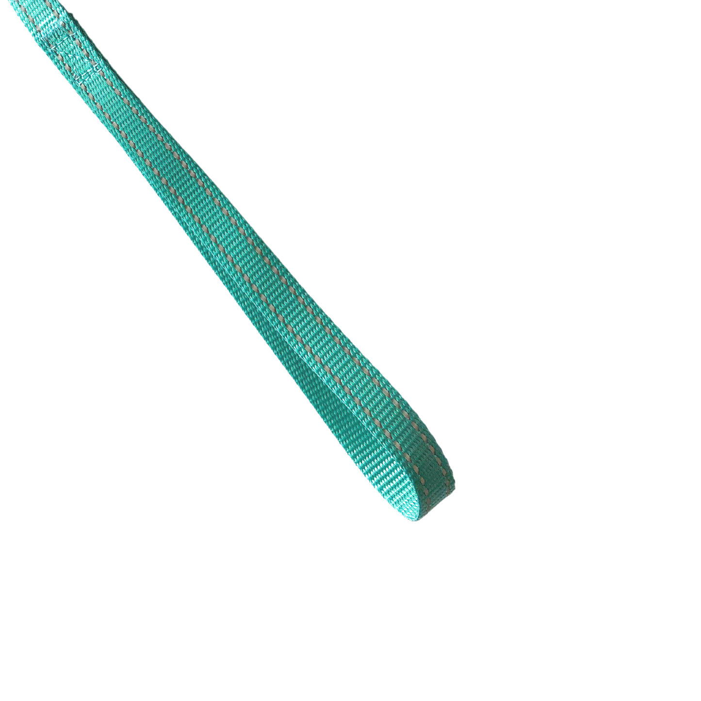 blue leash