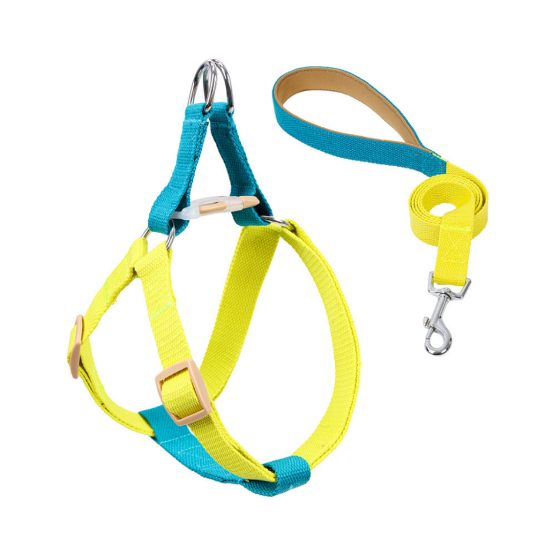yellow colored dog harness