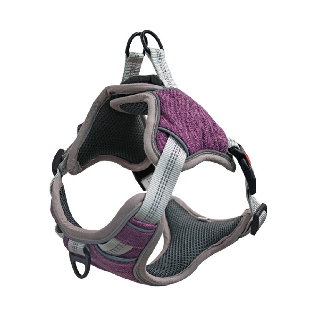 purple dog harness