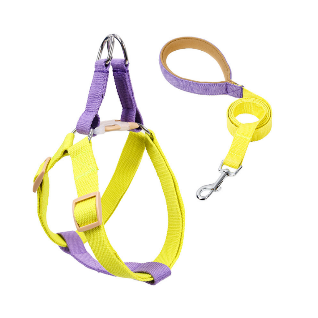 yellow and purple colored harness