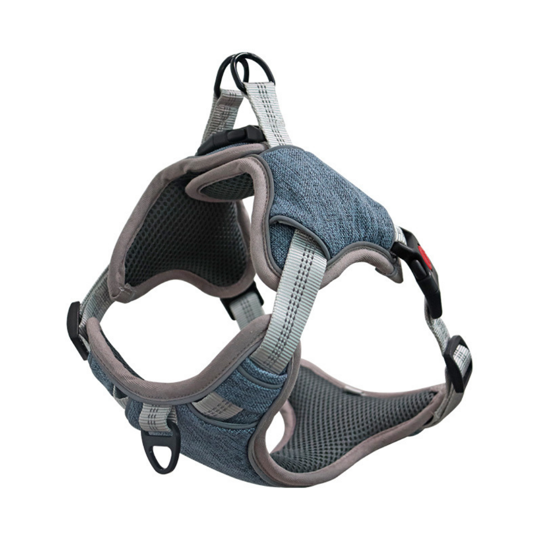 blue dog harness