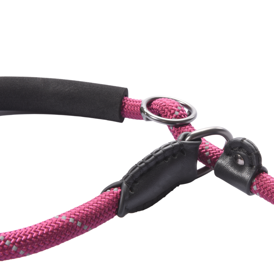 Pawsh Slip Lead Training Leash