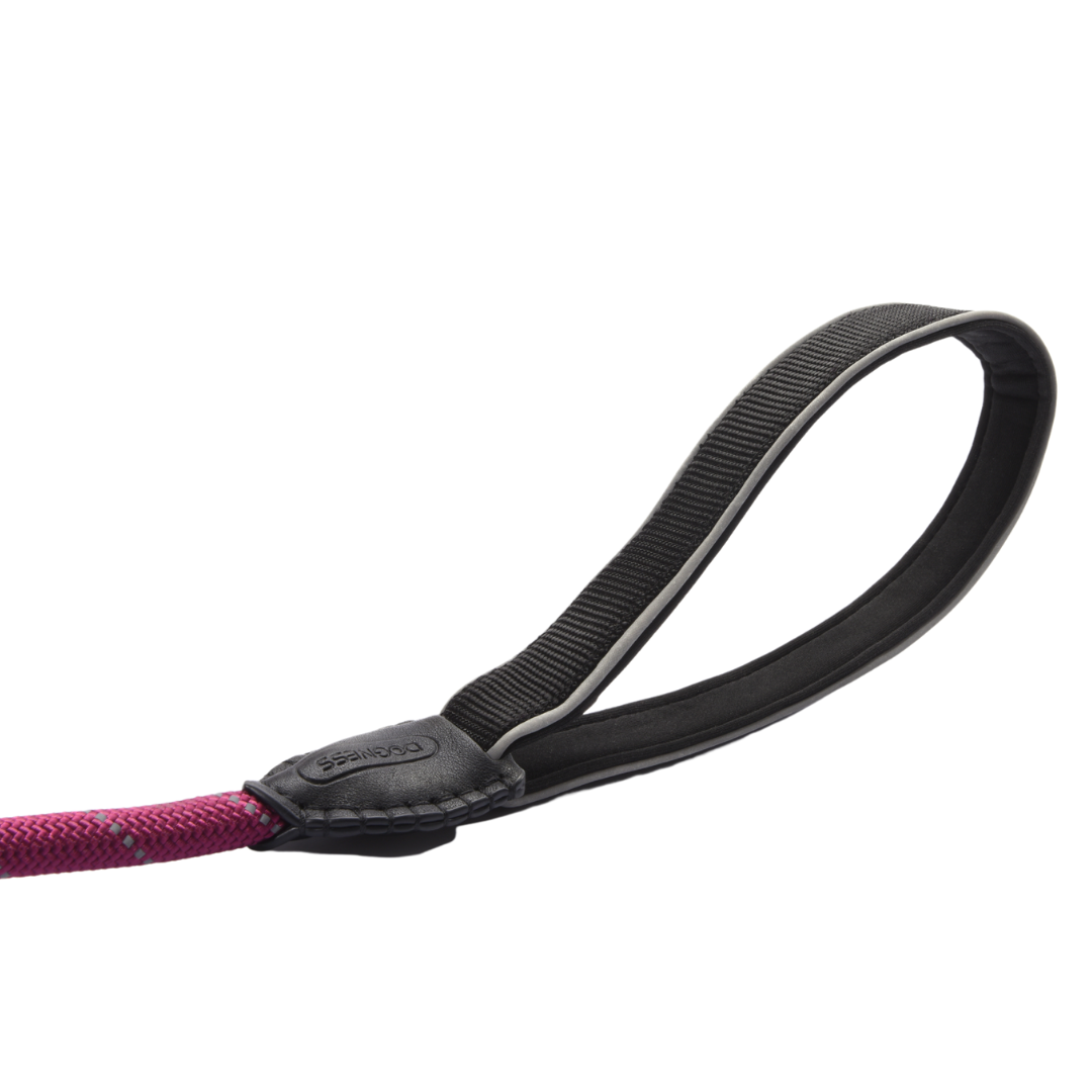 Pawsh Slip Lead Training Leash