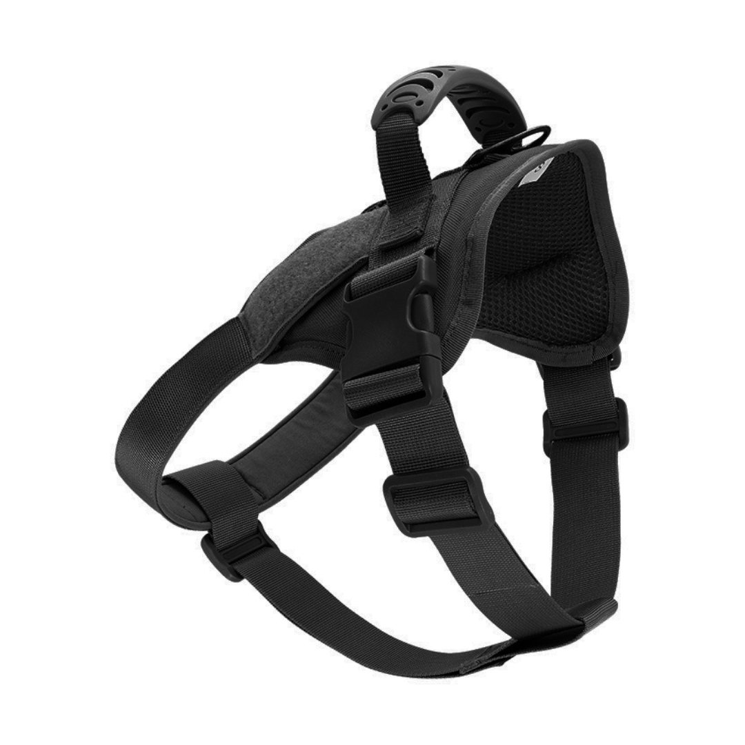 black harness for dog