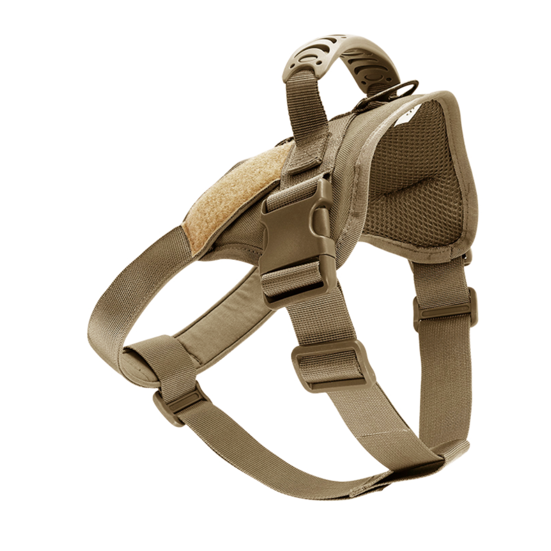 tan harness for dog