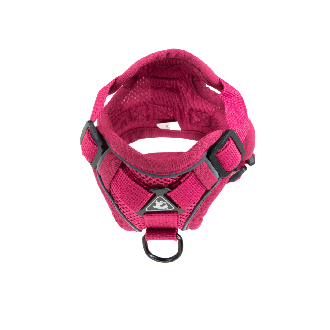Mesh Set Dog Harness