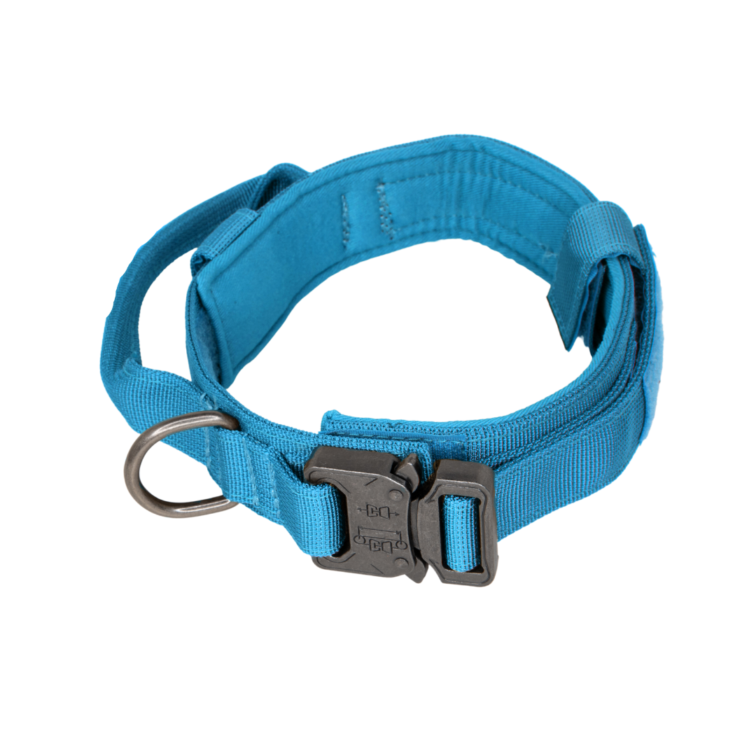 heavy duty dog collar blue