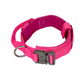 K9 Collar