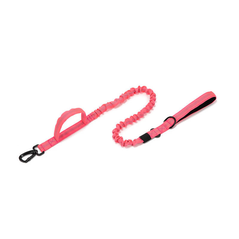 K9 Carabiner Dog Leash