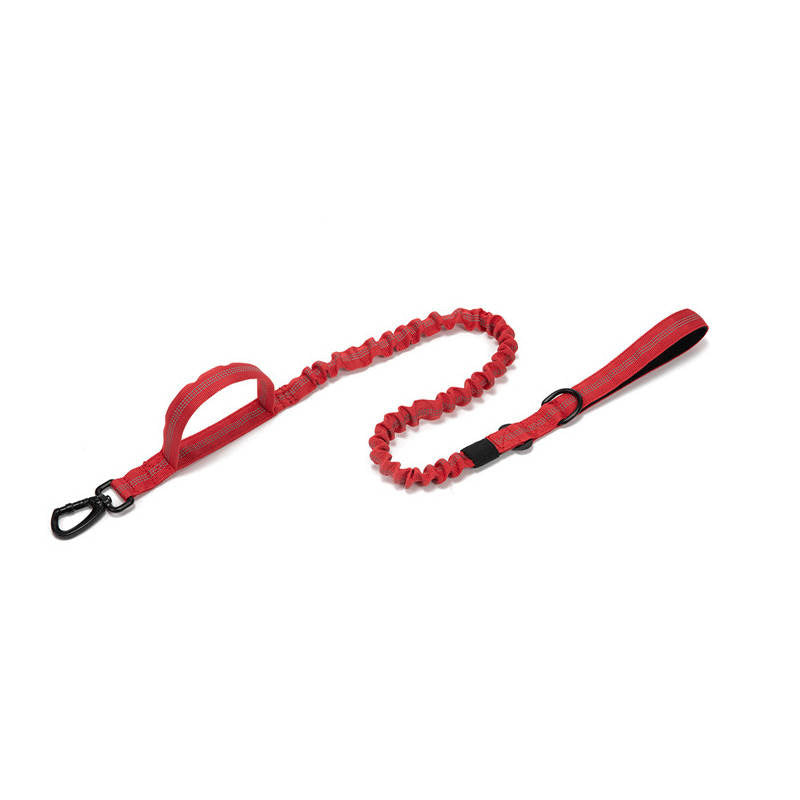 K9 Carabiner Dog Leash