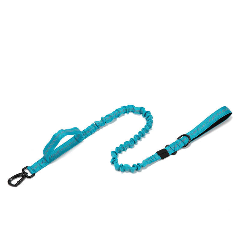 K9 Carabiner Dog Leash