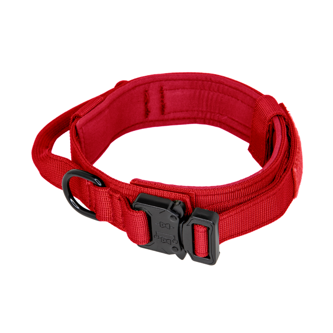 red heavy duty dog collar