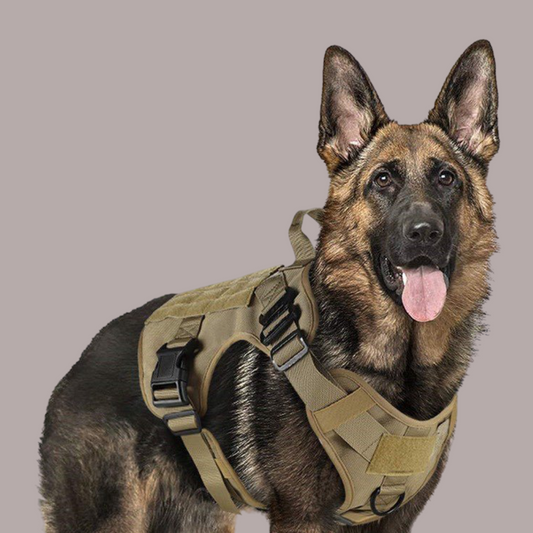 K9 Military Harness